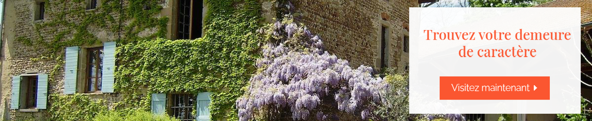 annonces vente immobilières