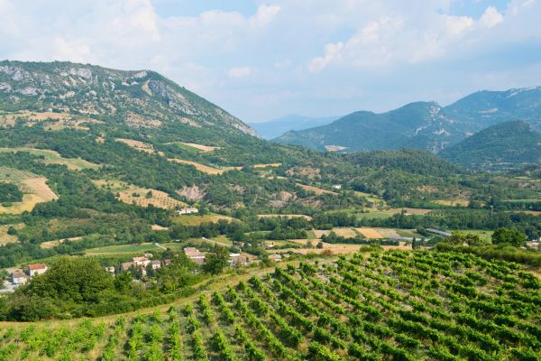 Les prix immobiliers dans la Drôme des collines
