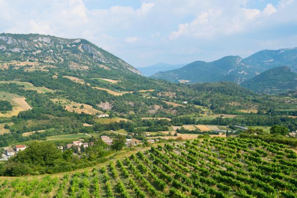 Notre agence immobilière à Romans-sur-Isère intervient dans toute la Drôme des Collines